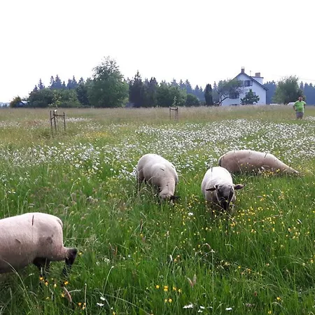 Biohof Und Imkerei Schlossle Allgau * Untrasried